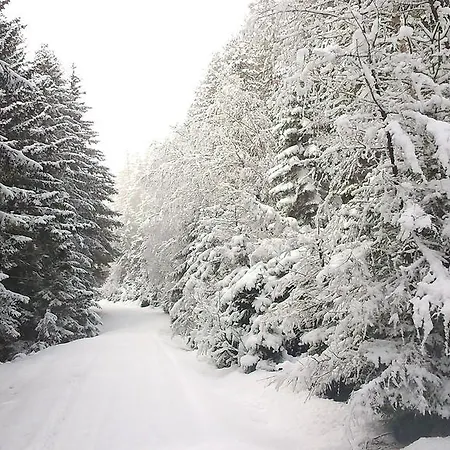Hohe Tauern Bramberg am Wildkogel