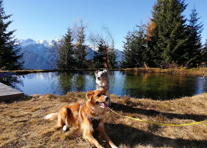 Hohe Tauern