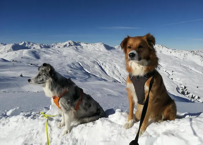 Lägenhet Hohe Tauern *