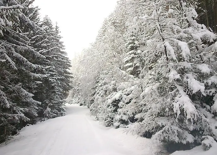 Hohe Tauern Bramberg am Wildkogel